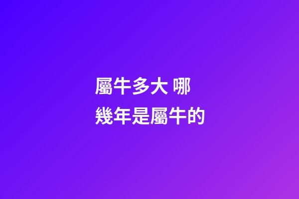 屬牛多大 哪幾年是屬牛的-第1張-觀點(diǎn)-玄機(jī)派